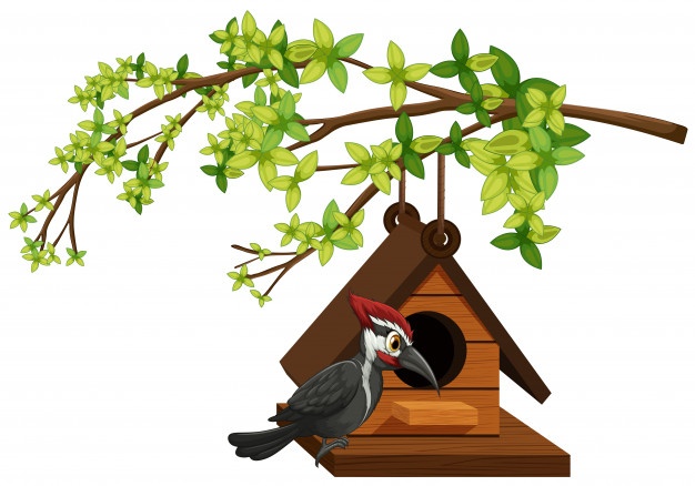 Birdhouse Vectors, Photos And Free Download 626x438 Birdhouse Vectors, Photos And Free Download