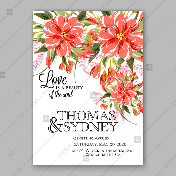 600x600 Pink Chysamthemum Floral Vector Background Wedding Invitation Card