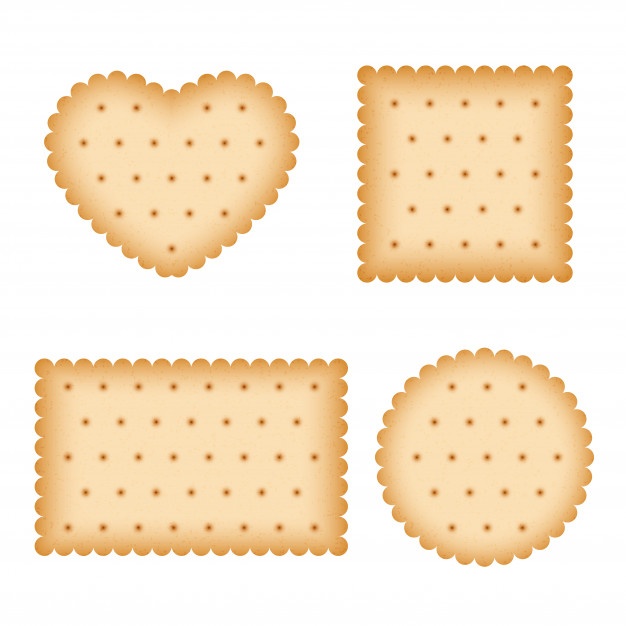 626x626 A Biscuit Vector Vector Premium Download
