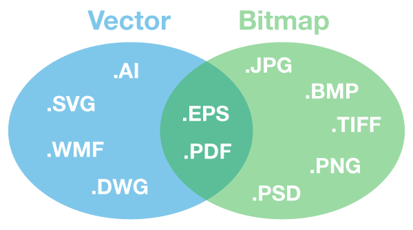 600x335 Bitmap Vs Vector And Why They Are Important To Differentiate