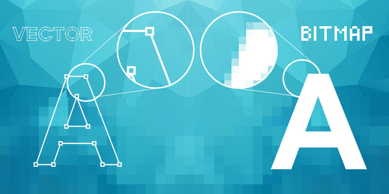 800x400 The Difference Between Vector And Bitmap Graphics