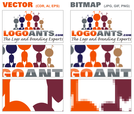 466x398 Multimedia Managment Ren Fei