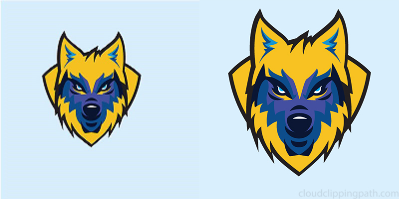 800x400 Raster To Vector Conversion Services