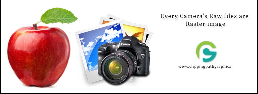 993x361 Vector Tracing Service Raster To Vector Vector Conversation