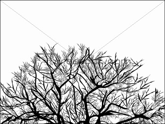 340x255 Image Abstract Vector Of Black Tree On White Background