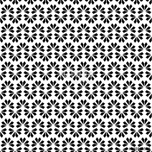 500x500 Black White Background Vector Abstract Modern Flower Geometric