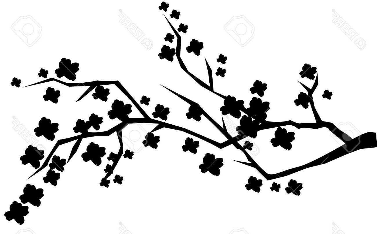 Collection Of 'cherry Tree Silhouette' Download More Than 1300x807 Collection Of 'cherry Tree Silhouette' Download More Than