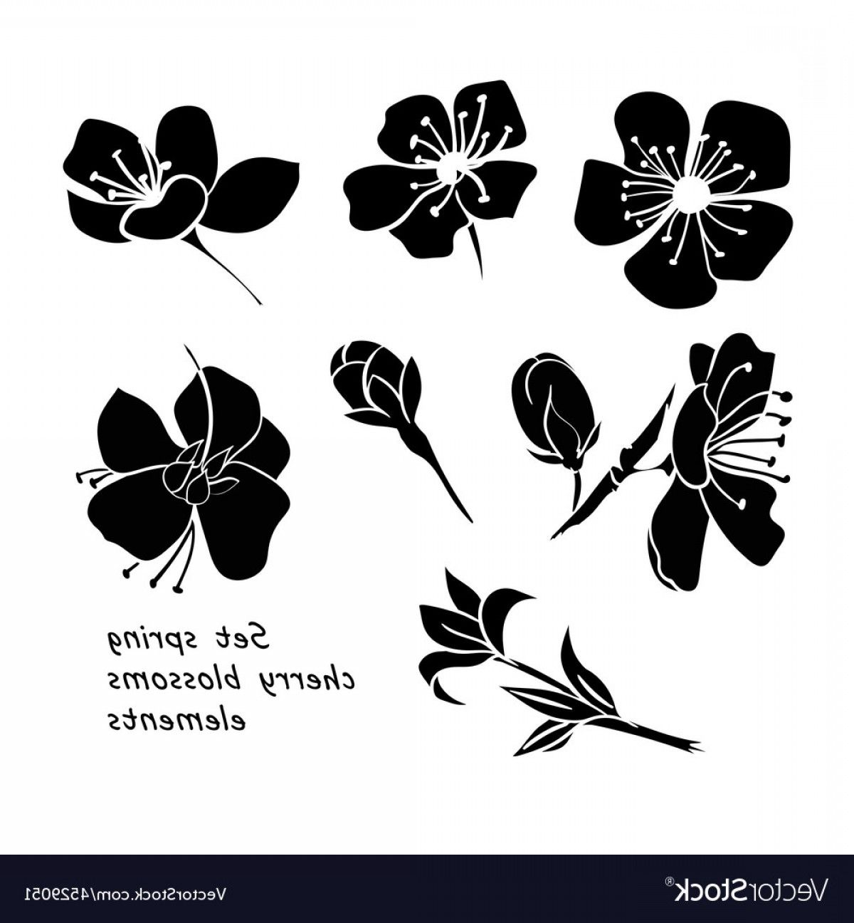 Image Result For Cherry Blossom Vector Black And White Piper 1200x1296 Image Result For Cherry Blossom Vector Black And White Piper