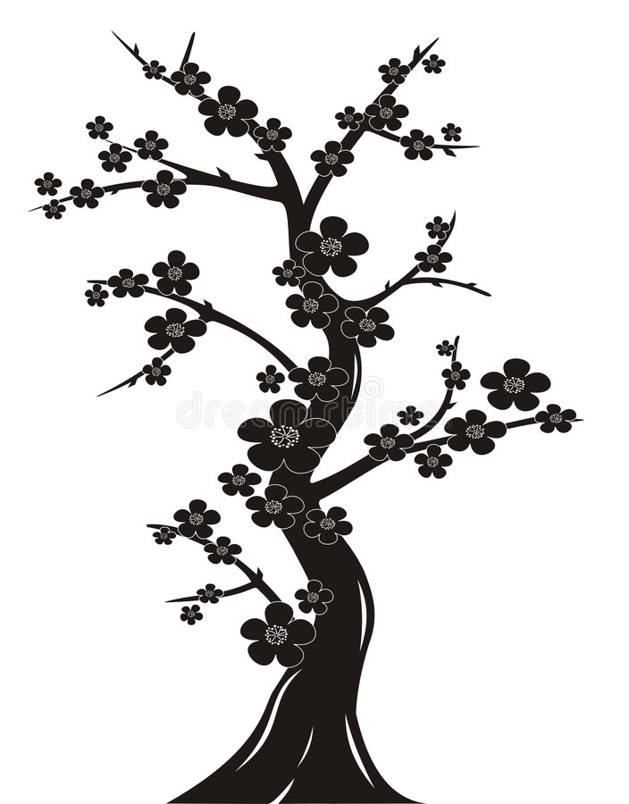 Japanese Cherry Tree Silhouette 704x900 Japanese Cherry Tree Silhouette