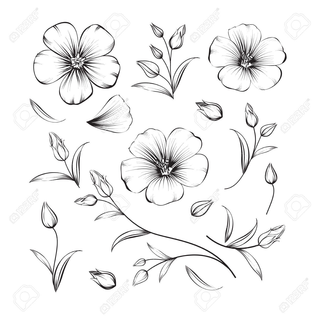 Flowers In Cherry Blossom Drawing 1300x1293 Flowers In Cherry Blossom Drawing