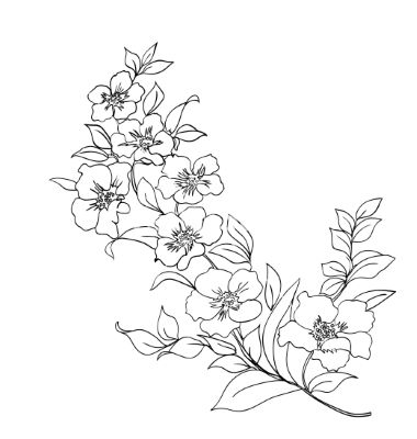 380x400 Cherry Blossom Vector, Cherry