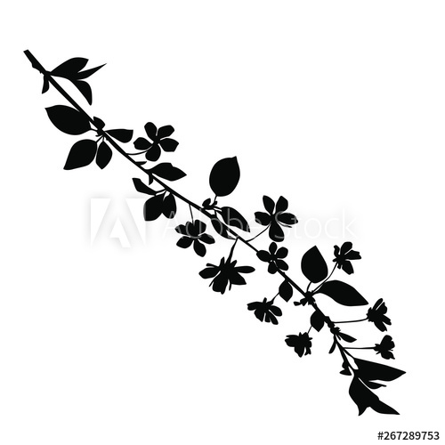Silhouette Of Apple Or Cherry Flower With Leaf, Branch Blossom 500x500 Silhouette Of Apple Or Cherry Flower With Leaf, Branch Blossom