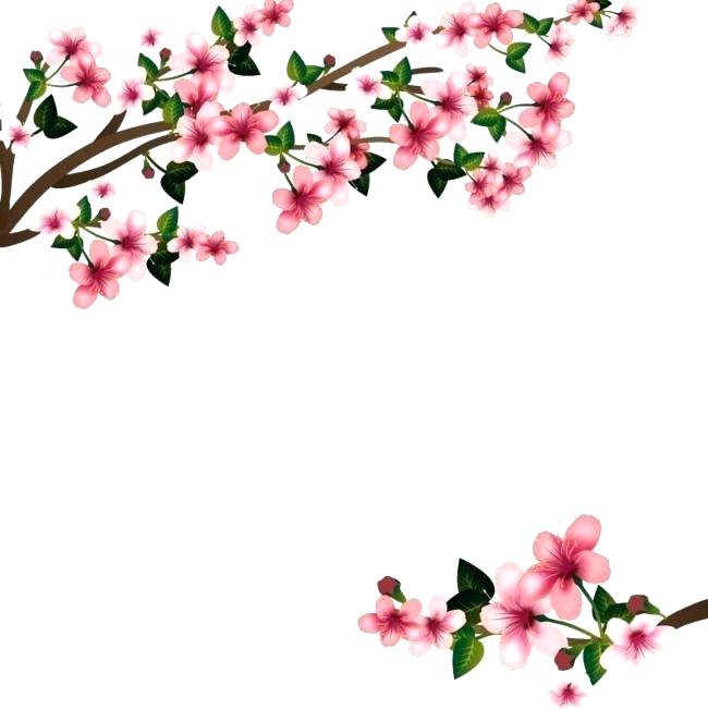 Cherry Tree Drawings 650x651 Cherry Tree Drawings