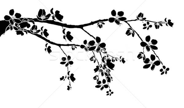 Branch Of Beautiful Cherry Blossom Vector Illustration Arunas 600x351 Branch Of Beautiful Cherry Blossom Vector Illustration Arunas