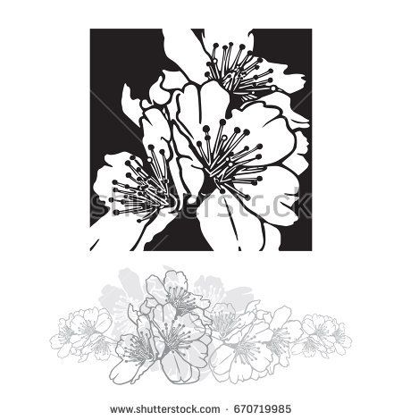 Cherry Tree Flower Vector Illustration Of Beautiful Sakura 450x470 Cherry Tree Flower Vector Illustration Of Beautiful Sakura