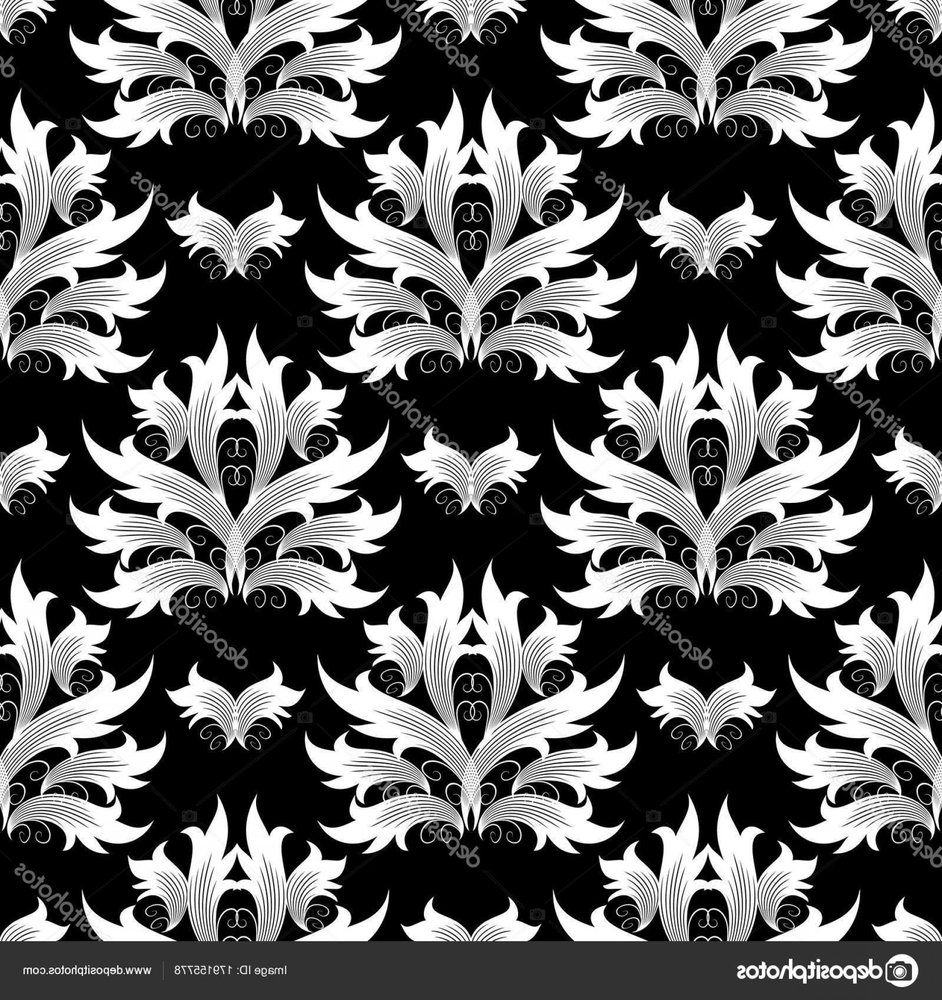 Black And White Damask Vector At Vectorified.com 