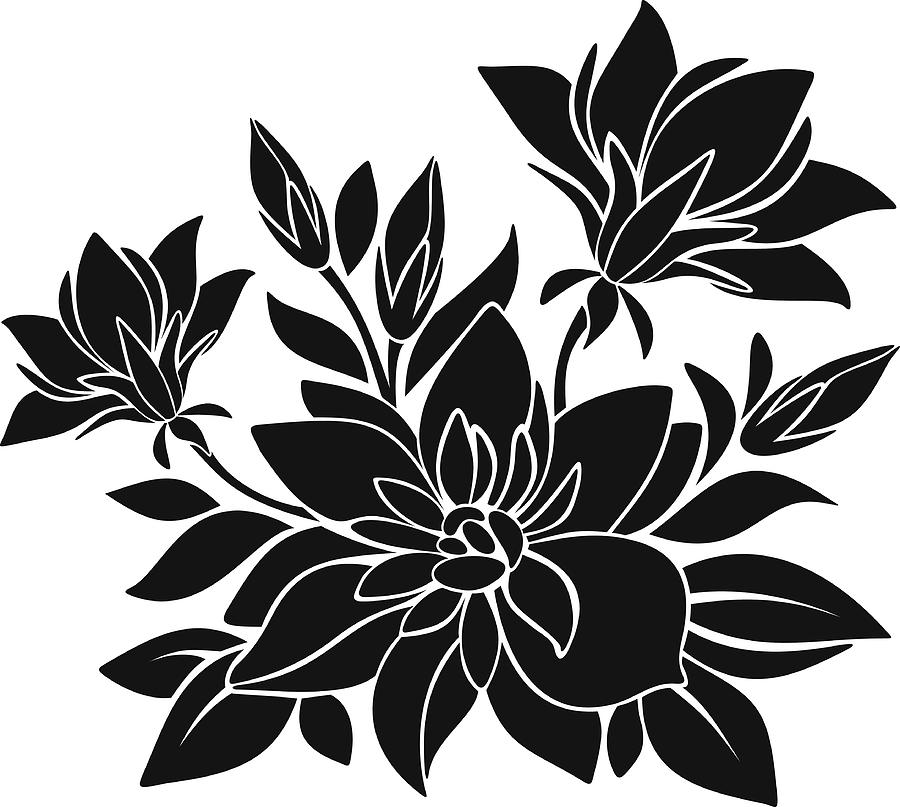 900x807 Black Silhouette Of Flowers Vector Illustration