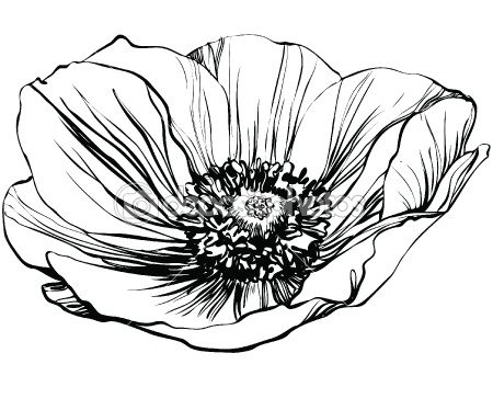Black And White Flower Vector at Vectorified.com | Collection of Black ...