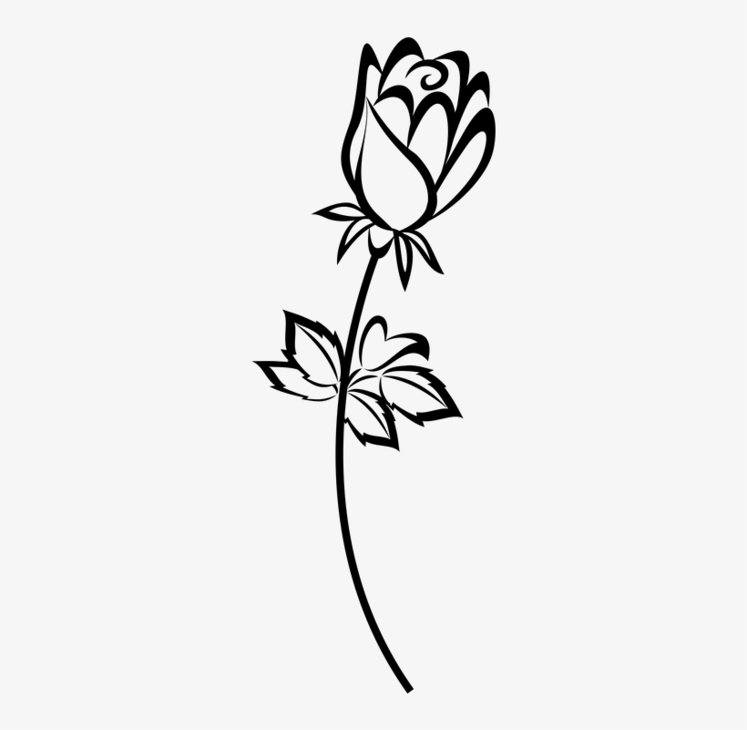 820x801 White Flower Vector Png