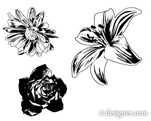 300x240 Designer Black And White Flowers Vector Material