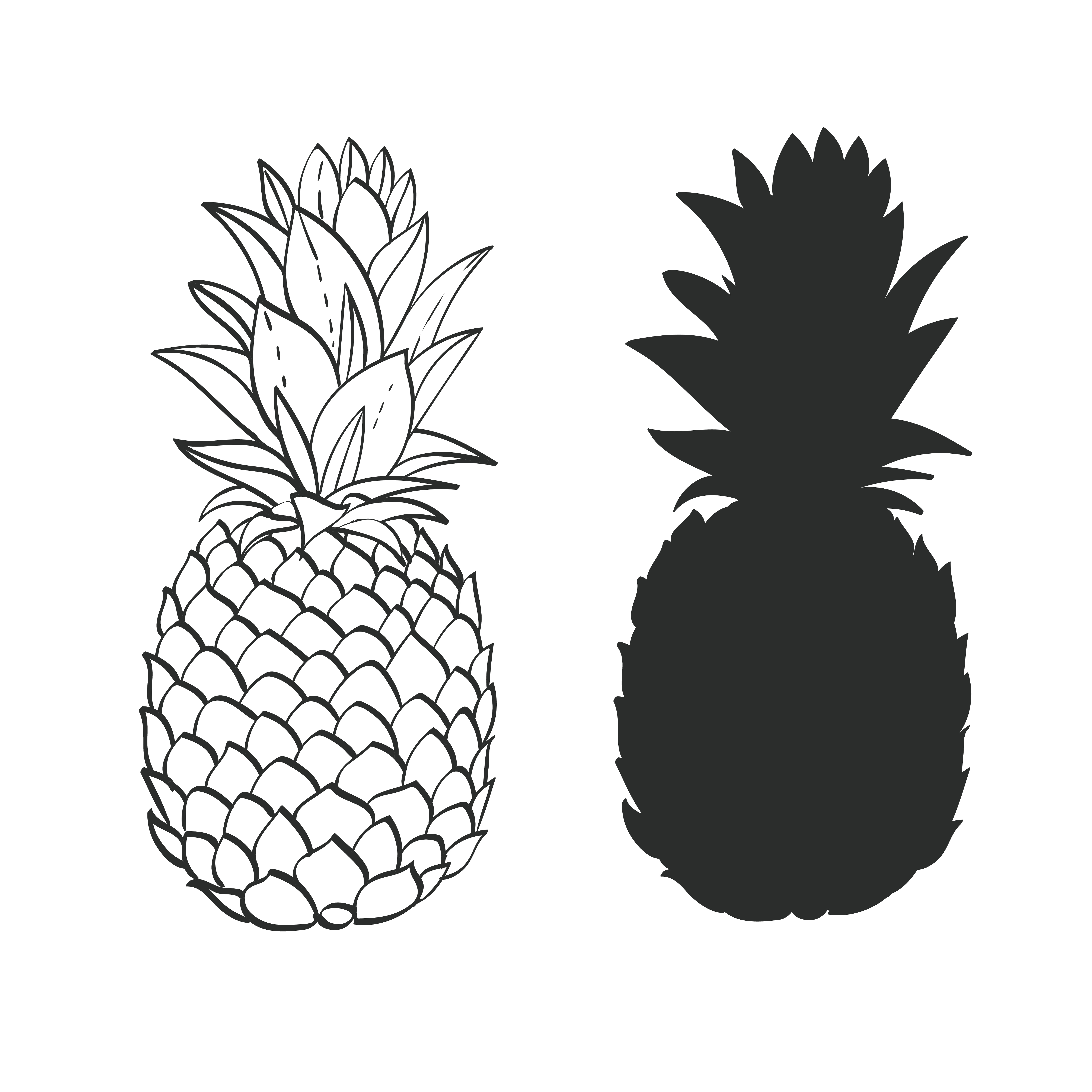 Black And White Pineapple Vector At Vectorified Com Collection Of Black And White Pineapple