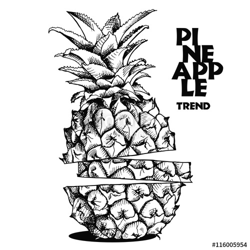 500x500 Image Slices Of Pineapple Fruit Vector Black And White