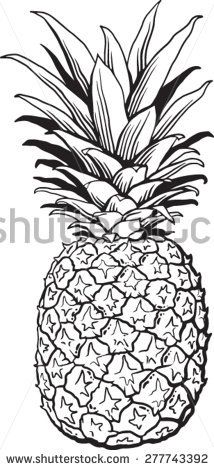 214x470 Pin On Drawings