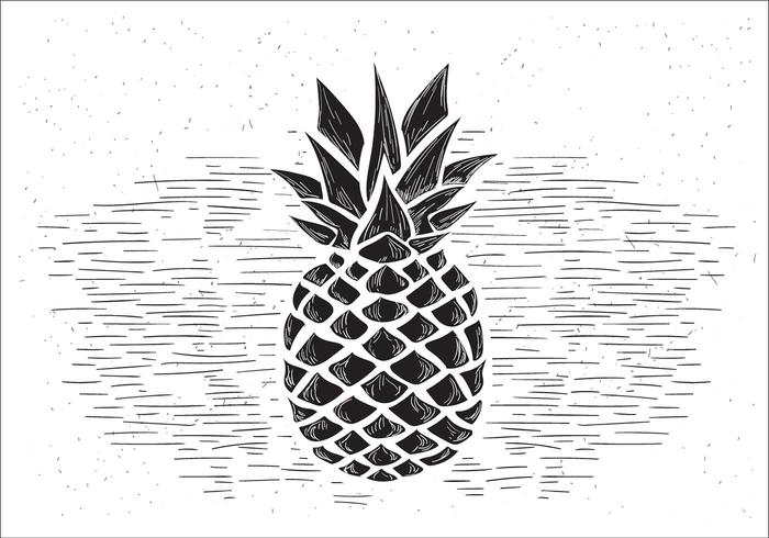 700x490 Pineapple Free Vector Art