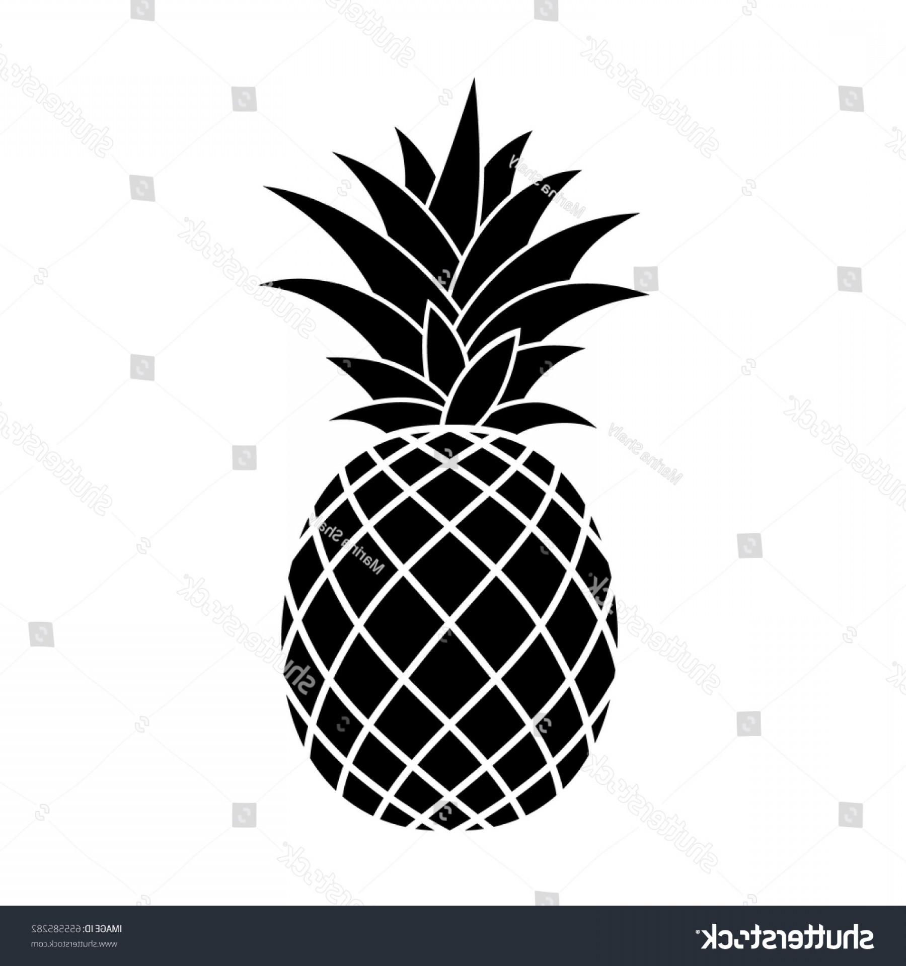 1800x1920 Tropical Fruit Vector Black And White Soidergi