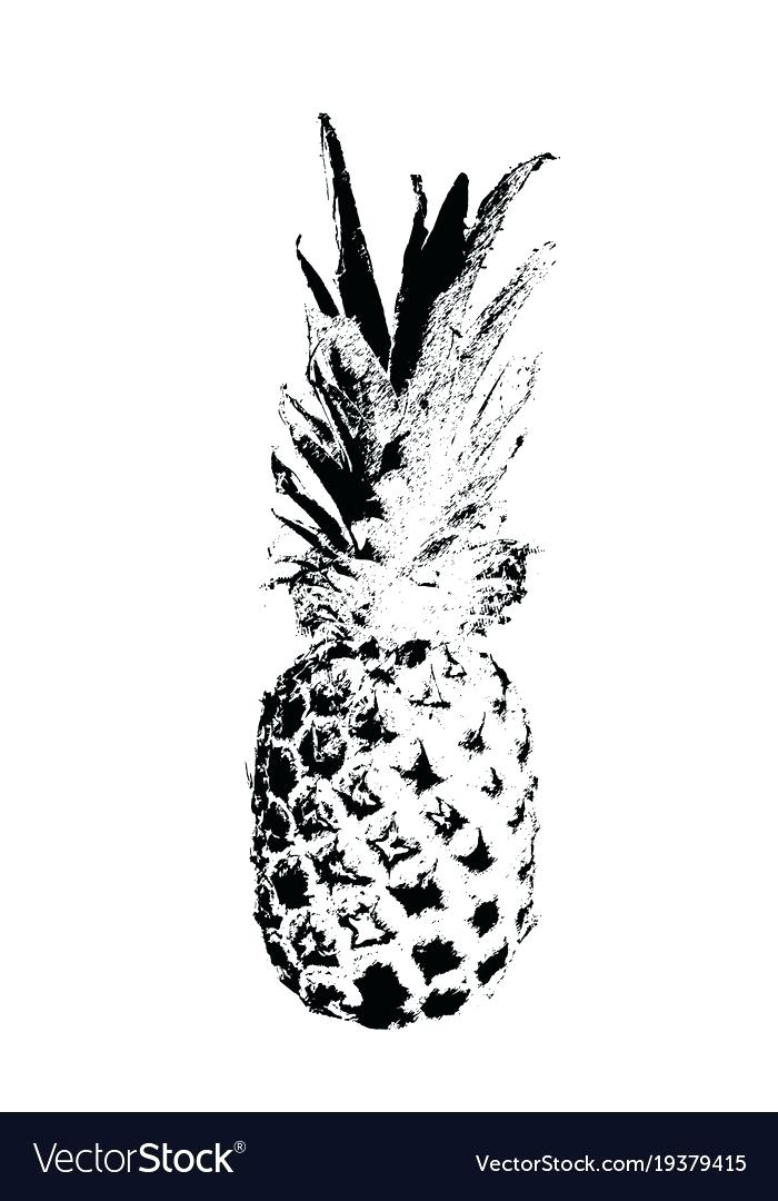 700x1080 Sketch Of A Pineapple