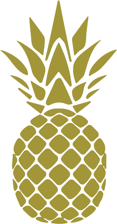 408x780 Hd Vector Watercolor Pineapple