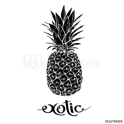 500x500 Image Of Black And White Pineapple Fruit Lettering Exotic