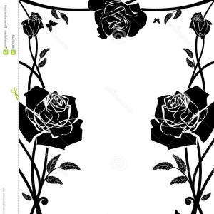 300x300 Border Of White Roses Vector Catchsplace