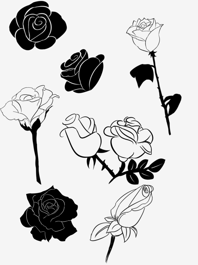 640x855 A Variety Of Beautiful Hand Painted Black And White Rose Vector