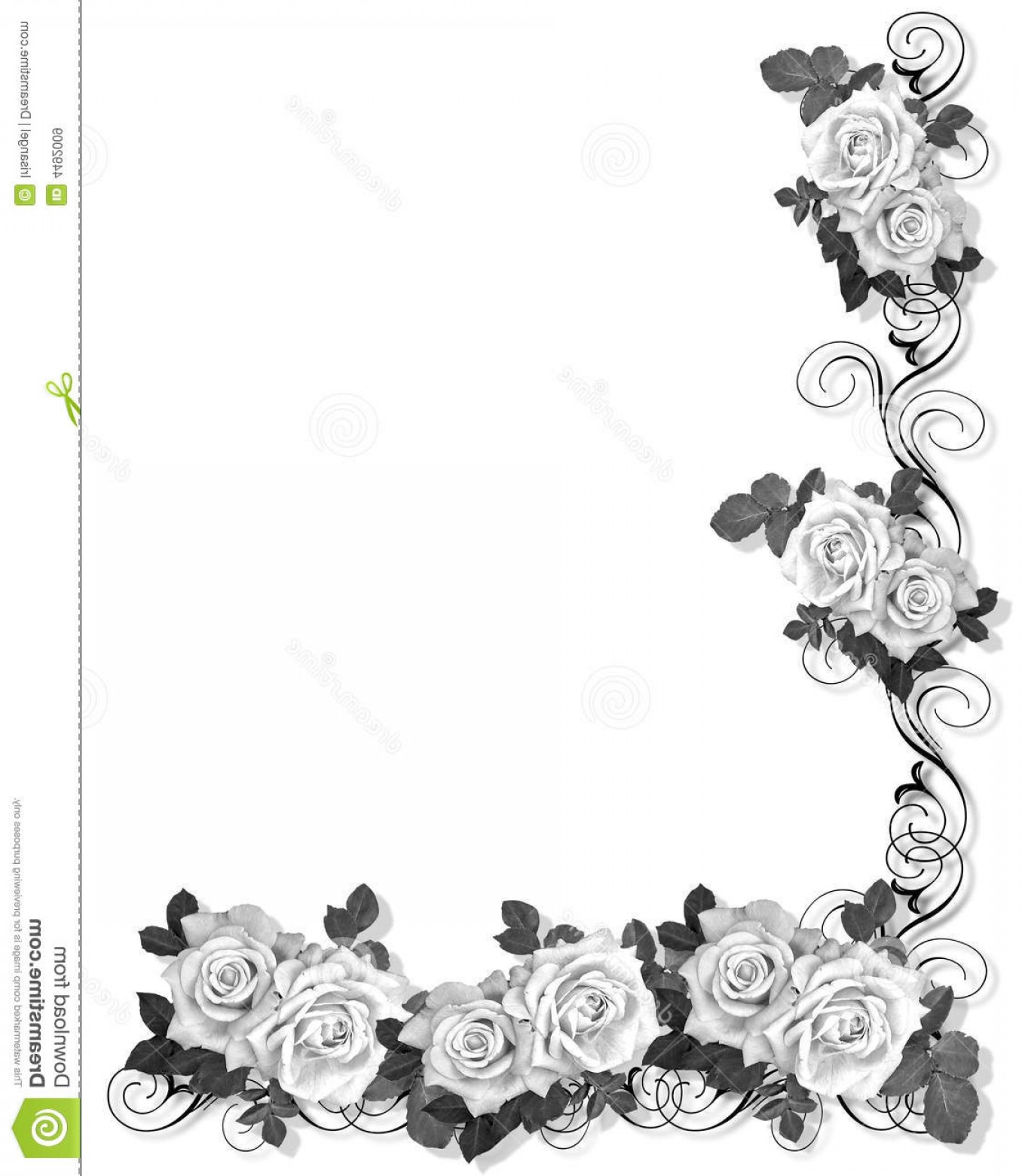 1356x1560 Rose Vector White Boarder Catchsplace