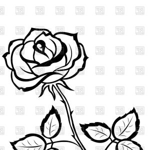 300x300 Royalty Free Clip Art Vector Logos Of Black And White Roses