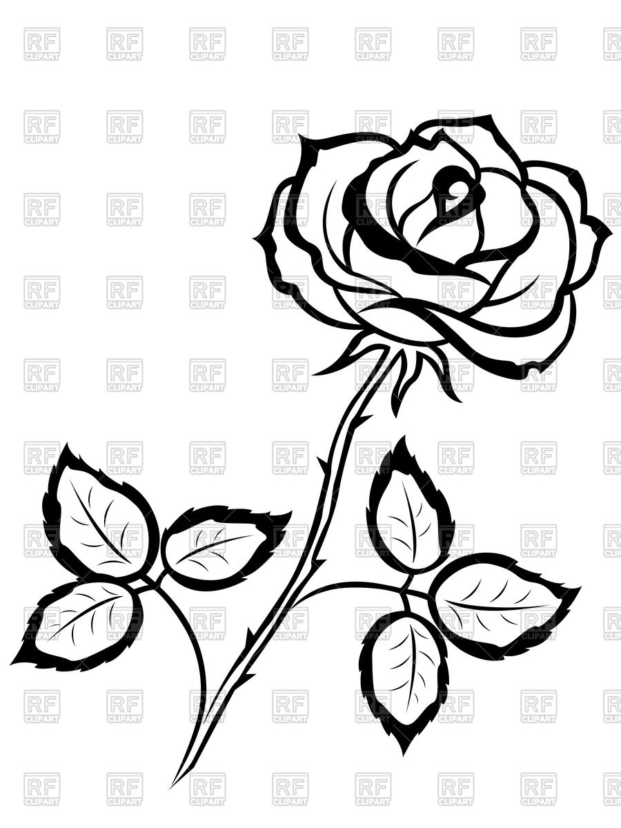 900x1200 Beautiful Black Outline Rose Vector Image Of Plants And Animals