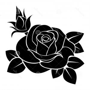 300x300 Black And White Rose Png Images