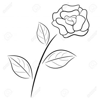 336x336 Black And White Rose Vector Drawing Pencil Skull Line Of A Flowers