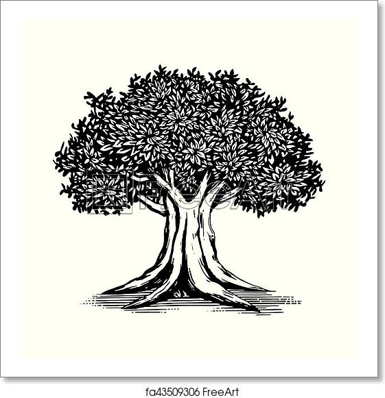 561x581 Free Art Print Of Oak Tree Vector Logo Illustration Oak Tree