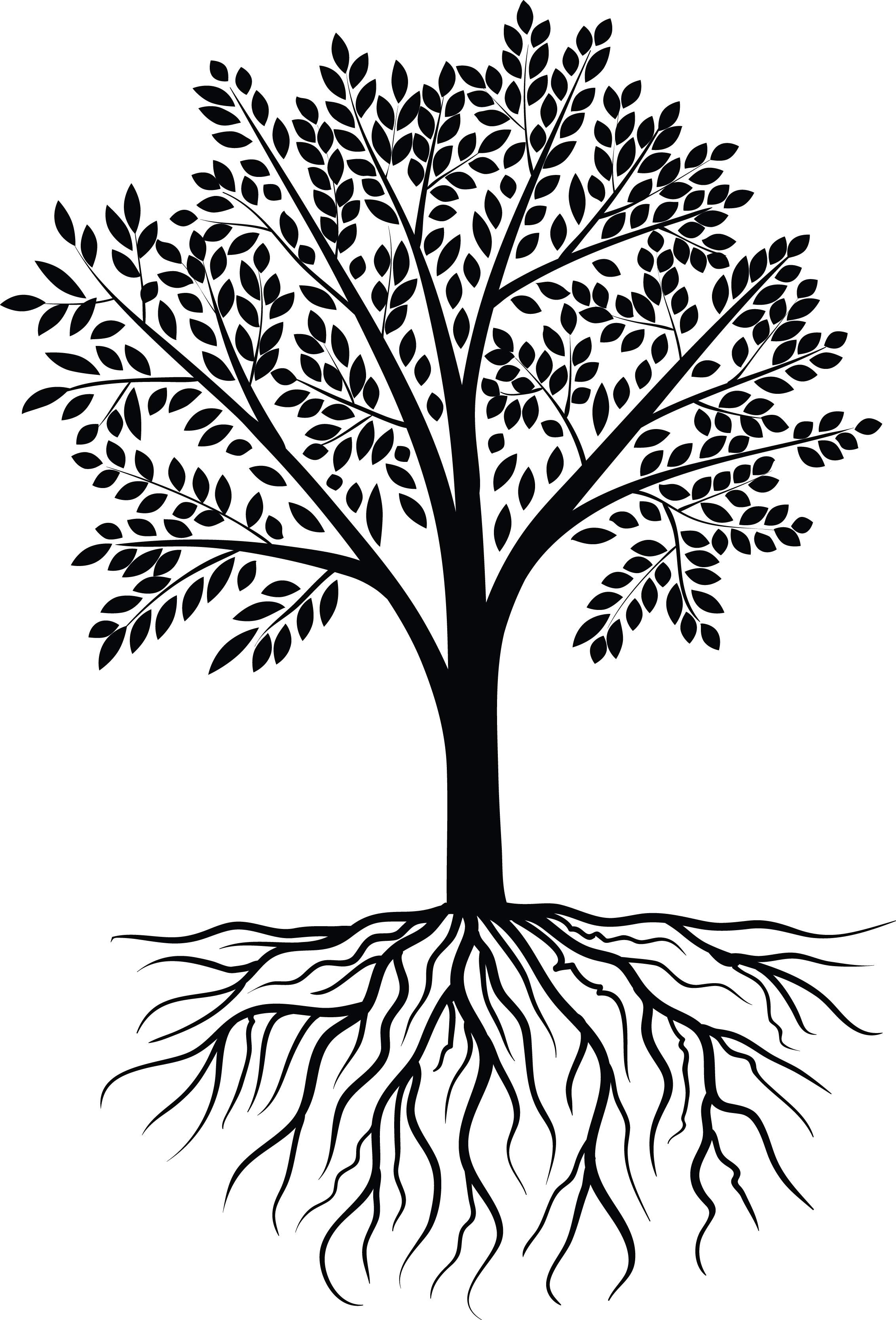2264x3335 Tree Png Vector Transparent Tree Vector Images