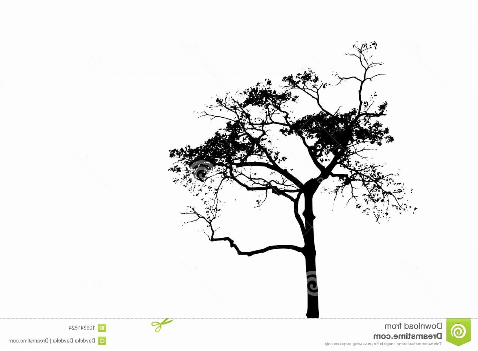 1560x1146 Tree Vector Free Beautiful Tree Clip Art Black And White Beautiful
