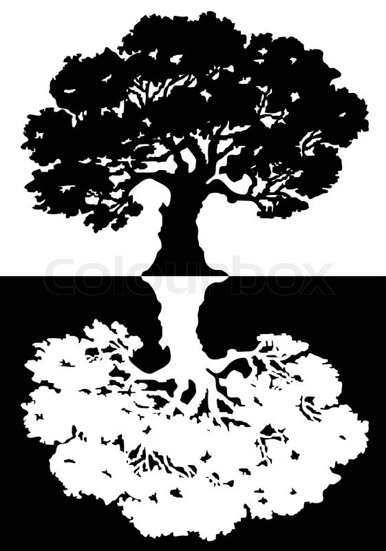 561x800 Two Black And White Trees Vector Stock Vector Colourbox