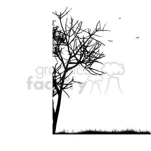 300x300 Black And White Tree Border Clipart Royalty Free Gif, Png
