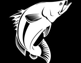 270x210 Black And White Vector Illustration Of Fish Freelancer