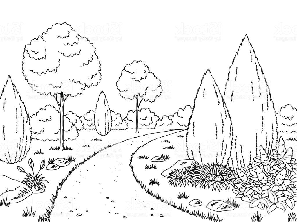Hd Cartoon Black And White Garden Vector Photos Vector Images Design 1024x768 Hd Cartoon Black And White Garden Vector Photos Vector Images Design