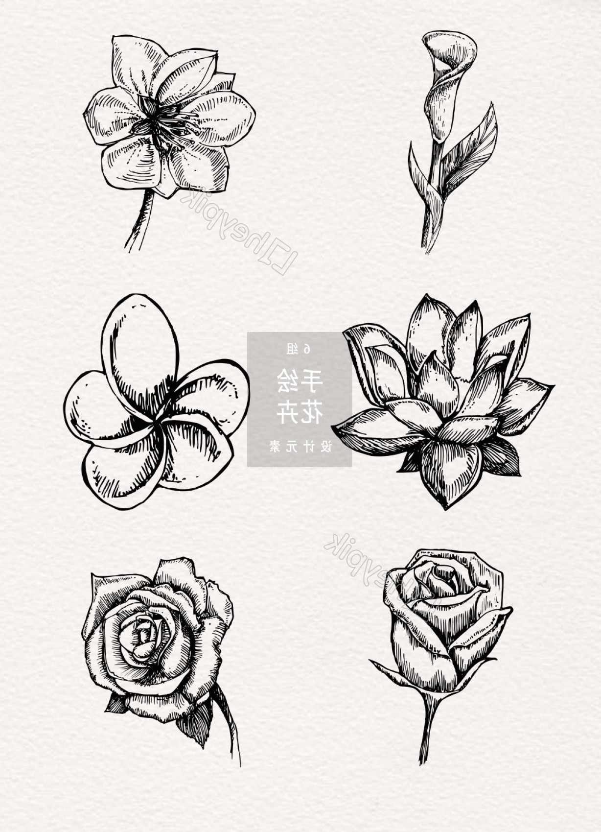 Hand Drawn Black And White Vector Flowers Soidergi 1228x1699 Hand Drawn Black And White Vector Flowers Soidergi