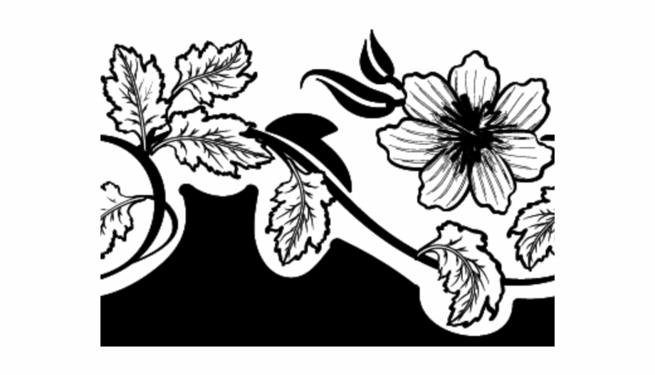 Black And White Flower Png 920x527 Black And White Flower Png