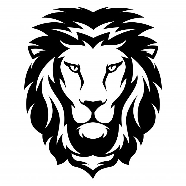 626x625 Illustration Of Lion With Black And White Style Vector Premium