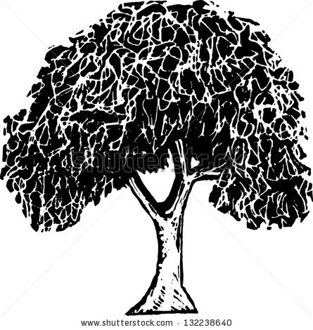 445x470 Elm Tree Vector Images